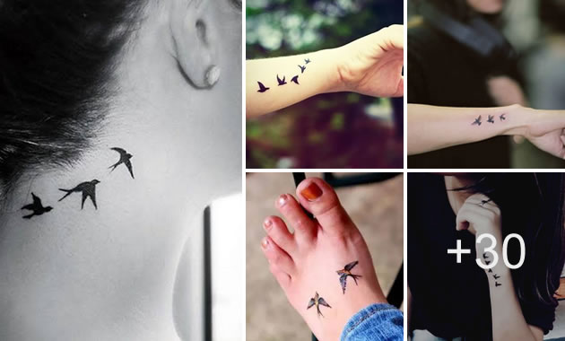 Mini Tatuajes de aves para cualquier ocasión